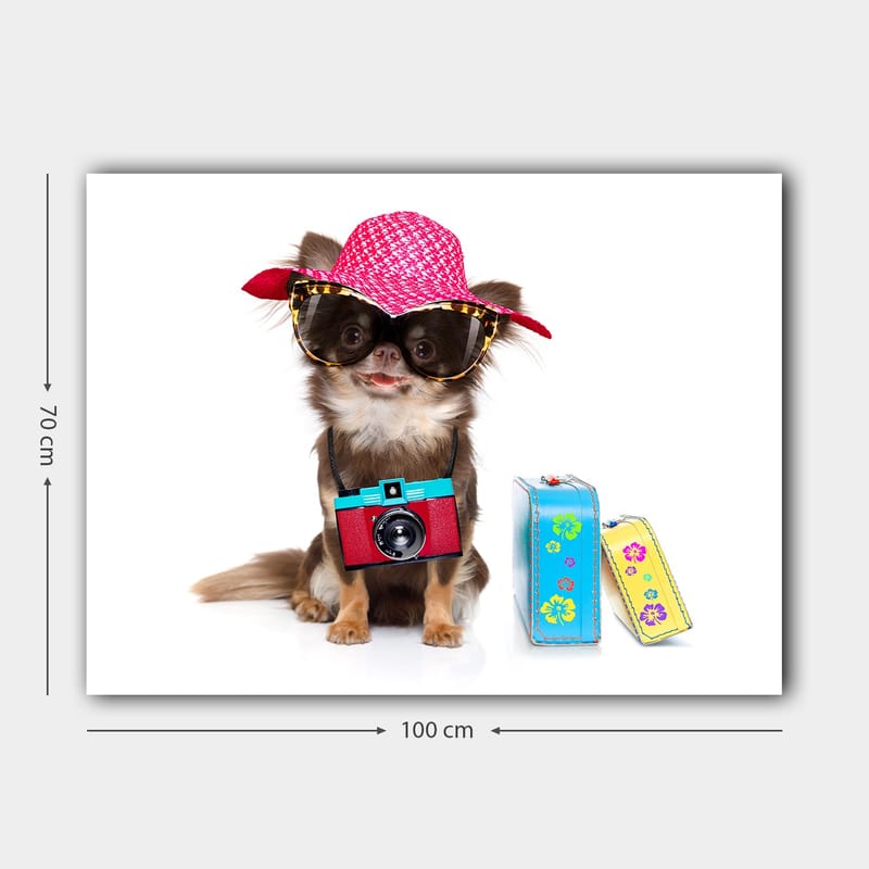 Lerretsbilde 70x100 cm - Søt chihuahua med solhatt og solbriller, med et kamera hengende rundt halsen - Rosa / Blå / Rød - Interiør - Maleri & posters - Lerretsbilder