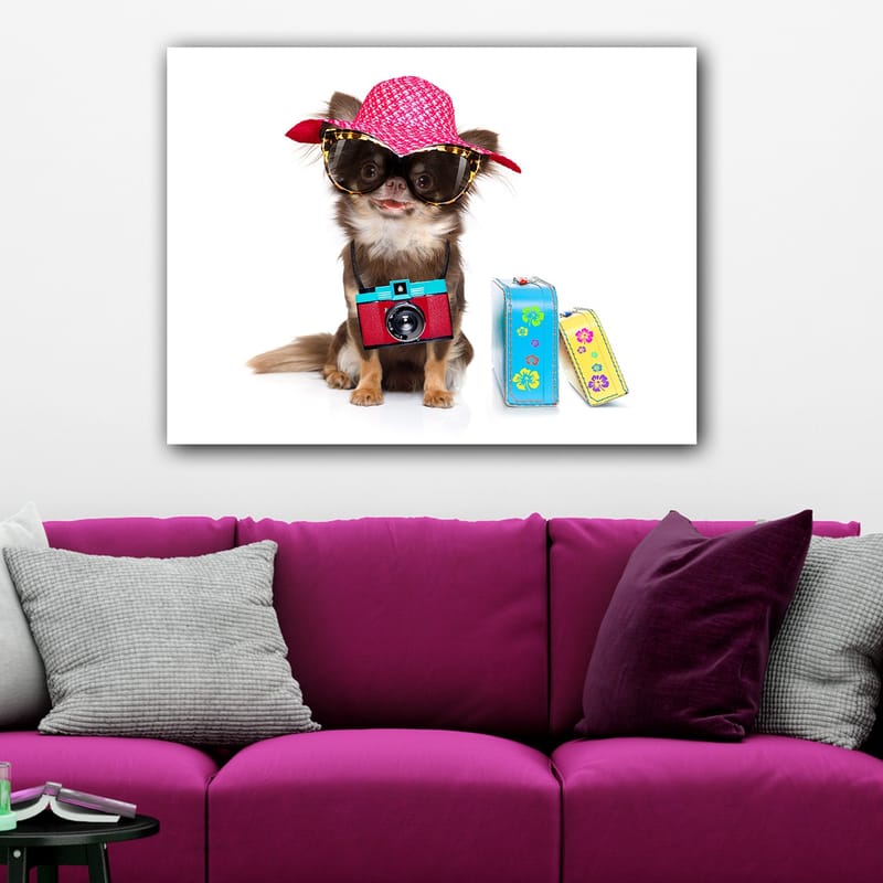 Lerretsbilde 70x100 cm - Søt chihuahua med solhatt og solbriller, med et kamera hengende rundt halsen - Rosa / Blå / Rød - Interiør - Maleri & posters - Lerretsbilder
