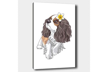 Lerretsbilde 70x100 cm - Søt hund med krøllete hår og en blomst i øret - Brun / Hvit / Svart - Interiør - Maleri & posters - Lerretsbilder