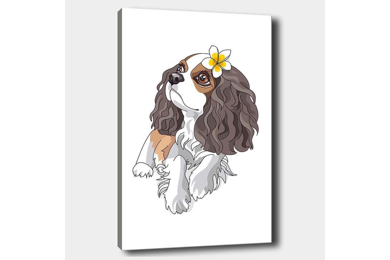 Lerretsbilde 70x100 cm - Søt hund med krøllete hår og en blomst i øret - Brun / Hvit / Svart - Interiør - Maleri & posters - Lerretsbilder