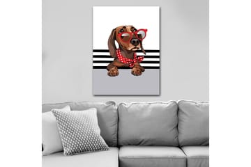 Lerretsbilde 70x100 cm - Søt hund med solbriller og et rødt prikkete skjerf - Brun / Rød / Grå - Interiør - Maleri & posters - Lerretsbilder