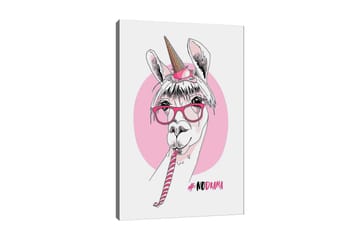 Lerretsbilde 70x100 cm - Søt lama med enhjørningshorn og briller som holder en sukkerstang - Rosa / Hvit / Svart - Interiør - Maleri & posters - Lerretsbilder