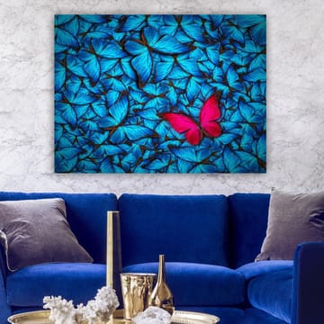Lerretsbilde 70x100 cm - Samling av blå sommerfugler med en fremtredende rosa sommerfugl i midten - Blå / Rosa - Interiør - Maleri & posters - Lerretsbilder