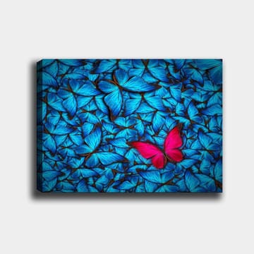 Lerretsbilde 70x100 cm - Samling av blå sommerfugler med en fremtredende rosa sommerfugl i midten - Blå / Rosa - Interiør - Maleri & posters - Lerretsbilder