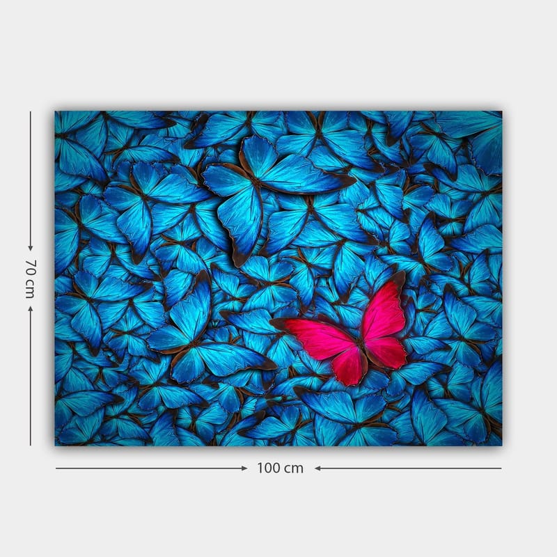 Lerretsbilde 70x100 cm - Samling av blå sommerfugler med en fremtredende rosa sommerfugl i midten - Blå / Rosa - Interiør - Maleri & posters - Lerretsbilder