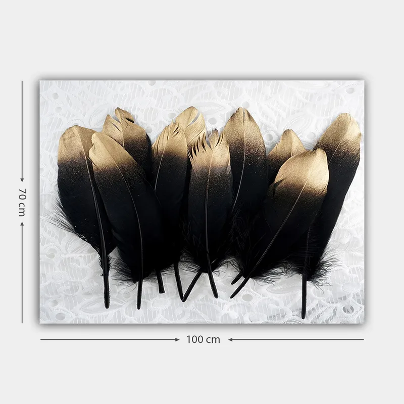 Lerretsbilde 70x100 cm - Samling av elegante fjær i svart og gull - Svart / Gull - Interiør - Maleri & posters - Lerretsbilder
