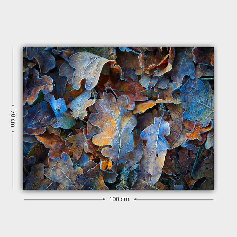 Lerretsbilde 70x100 cm - Samling av fargerike eikeblader i forskjellige nyanser som skaper en harmonisk og naturlig komposisjon - Blå / Oransje / Brun - Interiør - Maleri & posters - Lerretsbilder