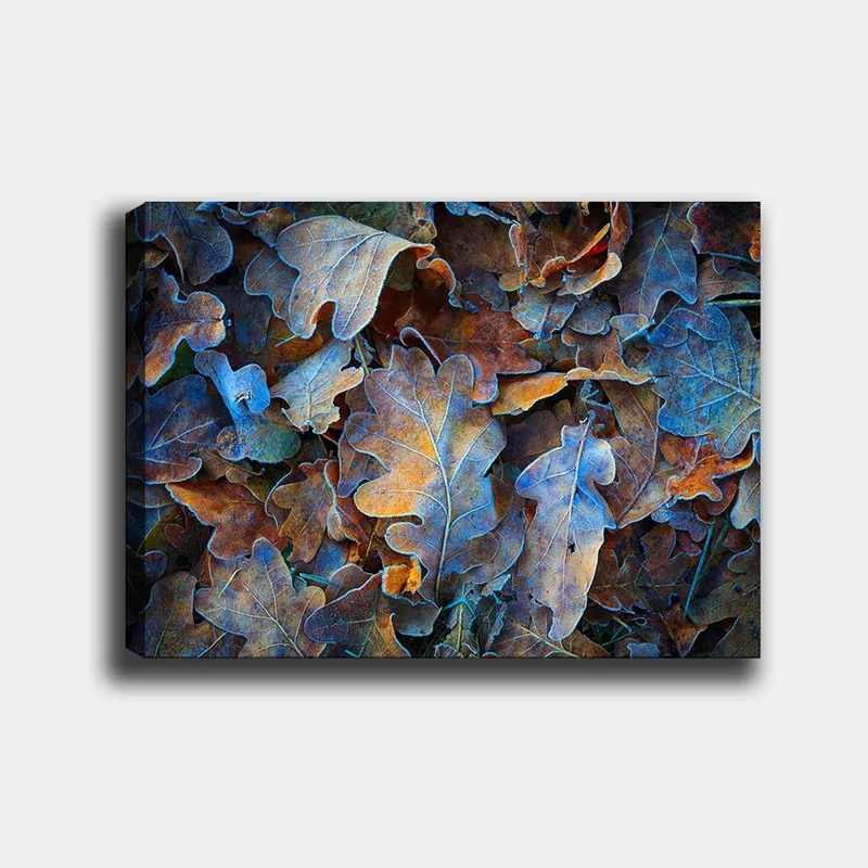 Lerretsbilde 70x100 cm - Samling av fargerike eikeblader i forskjellige nyanser som skaper en harmonisk og naturlig komposisjon, Blå / Oransje / Brun