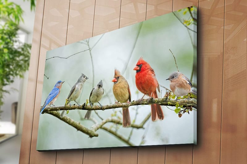Lerretsbilde 70x100 cm - Samling av fargerike fugler som sitter på en gren - Blå / Rød / Grå - Interiør - Maleri & posters - Lerretsbilder