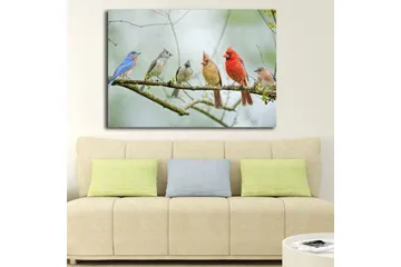 Lerretsbilde 70x100 cm - Samling av fargerike fugler som sitter på en gren - Blå / Rød / Grå - Interiør - Maleri & posters - Lerretsbilder