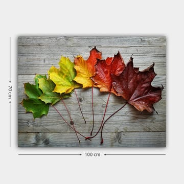 Lerretsbilde 70x100 cm - Samling av fargerike høstblader i forskjellige nyanser på en treflate - Grønn / Gul / Rød - Interiør - Maleri & posters - Lerretsbilder