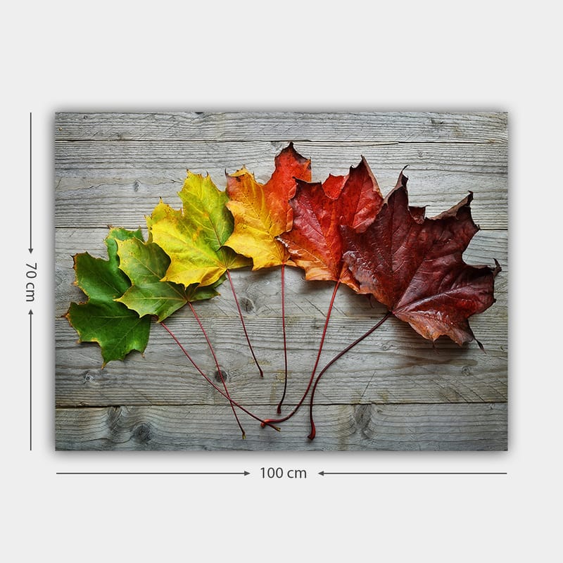 Lerretsbilde 70x100 cm - Samling av fargerike høstblader i forskjellige nyanser på en treflate - Grønn / Gul / Rød - Interiør - Maleri & posters - Lerretsbilder