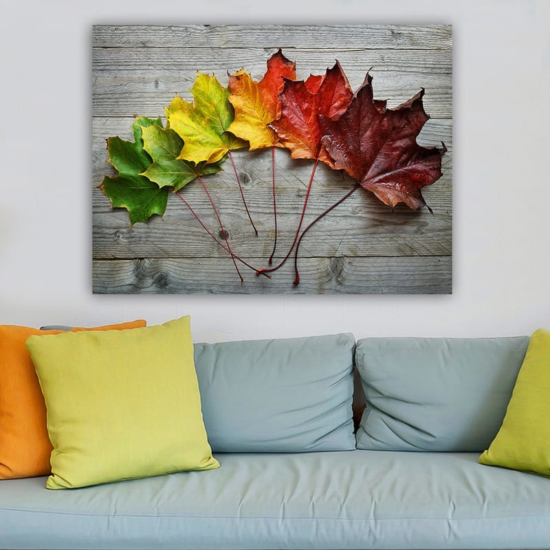Lerretsbilde 70x100 cm - Samling av fargerike høstblader i forskjellige nyanser på en treflate - Grønn / Gul / Rød - Interiør - Maleri & posters - Lerretsbilder