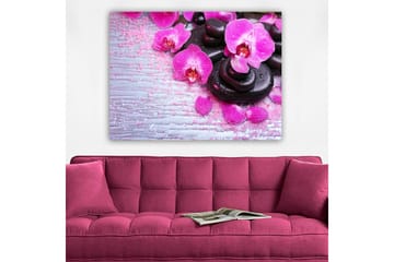 Lerretsbilde 70x100 cm - Samling av lilla orkideer og svarte steiner på en lys bakgrunn - Lilla / Svart - Interiør - Maleri & posters - Lerretsbilder