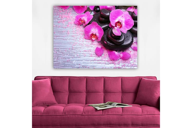 Lerretsbilde 70x100 cm - Samling av lilla orkideer og svarte steiner på en lys bakgrunn - Lilla / Svart - Interiør - Maleri & posters - Lerretsbilder