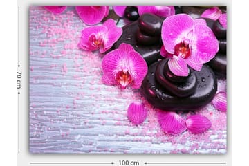 Lerretsbilde 70x100 cm - Samling av lilla orkideer og svarte steiner på en lys bakgrunn - Lilla / Svart - Interiør - Maleri & posters - Lerretsbilder