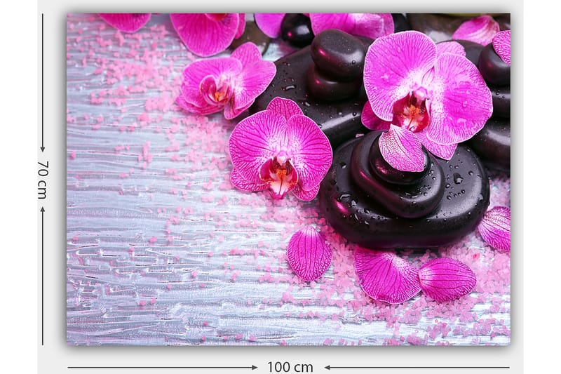 Lerretsbilde 70x100 cm - Samling av lilla orkideer og svarte steiner på en lys bakgrunn - Lilla / Svart - Interiør - Maleri & posters - Lerretsbilder