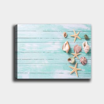 Lerretsbilde 70x100 cm - Samling av skjell og sjøstjerner på en lyseblå treflate - Lys blå / Beige / Grønn - Interiør - Maleri & posters - Lerretsbilder