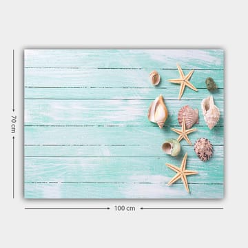 Lerretsbilde 70x100 cm - Samling av skjell og sjøstjerner på en lyseblå treflate - Lys blå / Beige / Grønn - Interiør - Maleri & posters - Lerretsbilder