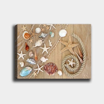 Lerretsbilde 70x100 cm - Samling av skjell og sjøstjerner på en treflate - Beige / Hvit / Brun - Interiør - Maleri & posters - Lerretsbilder