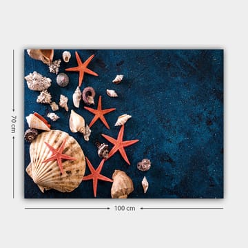 Lerretsbilde 70x100 cm - Samling av skjell og sjøstjerner på en dypblå overflate - Dyp blå / Rød / Beige - Interiør - Maleri & posters - Lerretsbilder