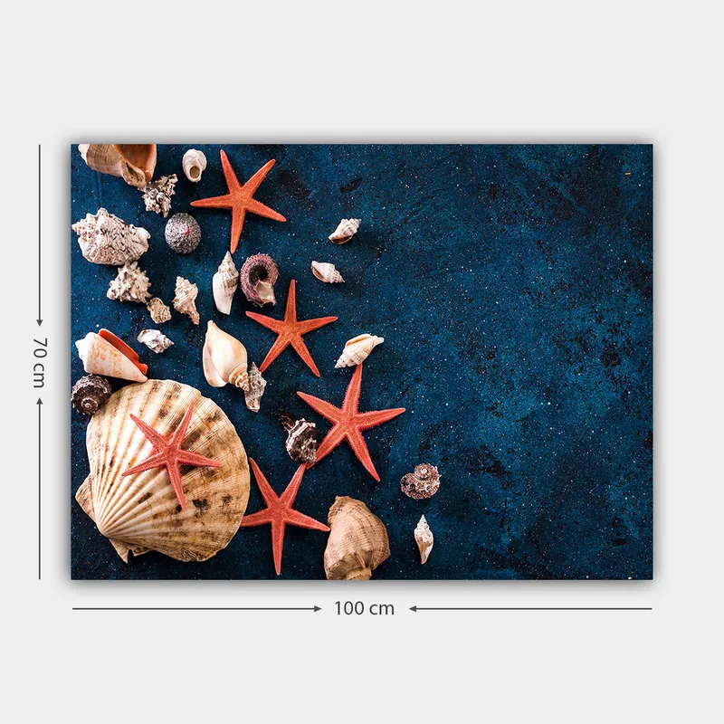 Lerretsbilde 70x100 cm - Samling av skjell og sjøstjerner på en dypblå overflate - Dyp blå / Rød / Beige - Interiør - Maleri & posters - Lerretsbilder