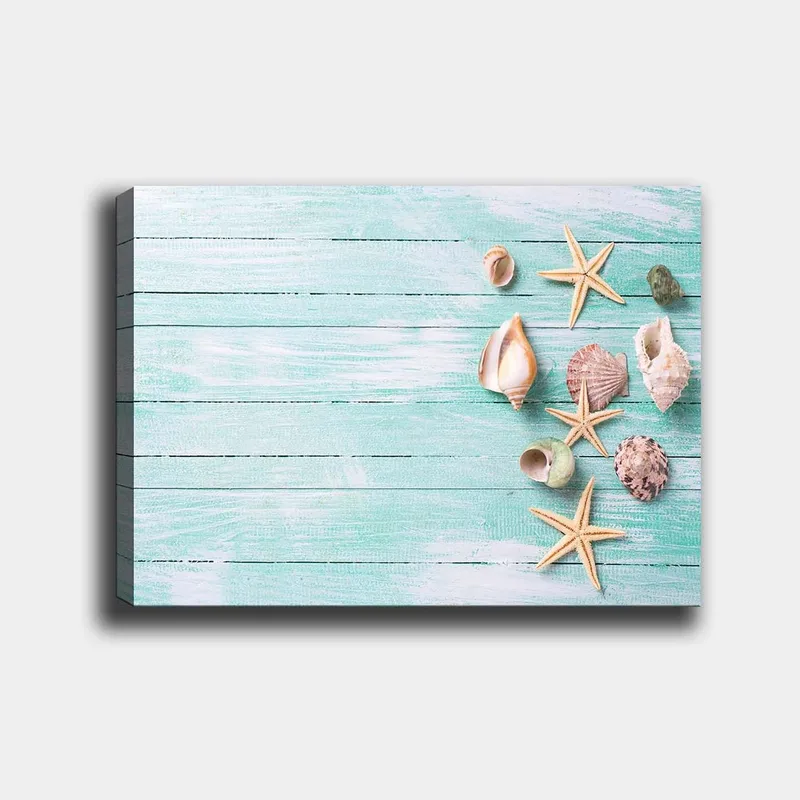 Lerretsbilde 70x100 cm - Samling av skjell og sjøstjerner på en lyseblå treflate, Lys blå / Beige / Grønn