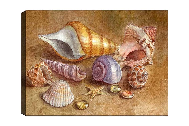 Lerretsbilde 70x100 cm - Samling av skjell og steiner i myke, naturlige farger, Beige / Lilla / Oransje