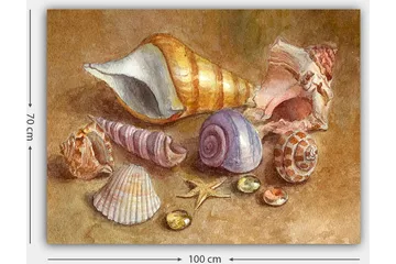 Lerretsbilde 70x100 cm - Samling av skjell og steiner i myke, naturlige farger - Beige / Lilla / Oransje - Interiør - Maleri & posters - Lerretsbilder