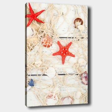 Lerretsbilde 70x100 cm - Samling av skjell og stjerneformede sjøstjerner på et nett - Rød / Beige / Hvit - Interiør - Maleri & posters - Lerretsbilder
