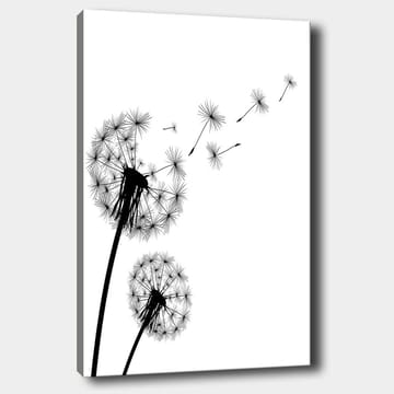 Lerretsbilde 70x100 cm - Silhuetter av løvetann som sprer frøene sine i vinden - Svart / Hvit - Interiør - Maleri & posters - Lerretsbilder