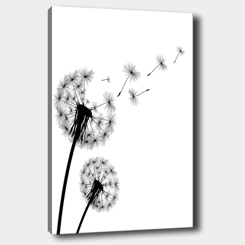 Lerretsbilde 70x100 cm - Silhuetter av løvetann som sprer frøene sine i vinden - Svart / Hvit - Interiør - Maleri & posters - Lerretsbilder