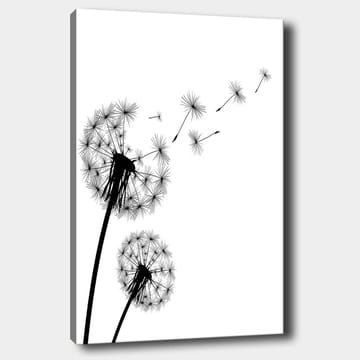 Lerretsbilde 70x100 cm - Silhuetter av løvetann som sprer frøene sine i vinden - Svart / Hvit - Interiør - Maleri & posters - Lerretsbilder