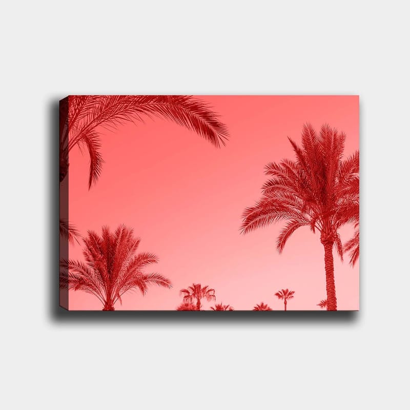 Lerretsbilde 70x100 cm - Silhuetter av palmer mot en rødlig himmel, Rød / Rosa