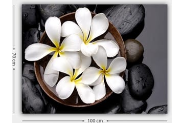 Lerretsbilde 70x100 cm - Skål med hvite blomster og svarte steiner - Hvit / Svart / Gul - Interiør - Maleri & posters - Lerretsbilder