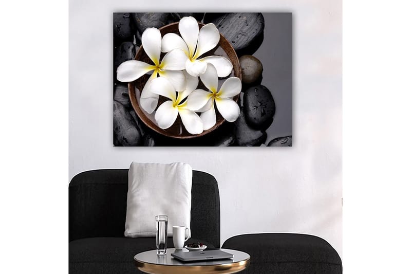 Lerretsbilde 70x100 cm - Skål med hvite blomster og svarte steiner - Hvit / Svart / Gul - Interiør - Maleri & posters - Lerretsbilder