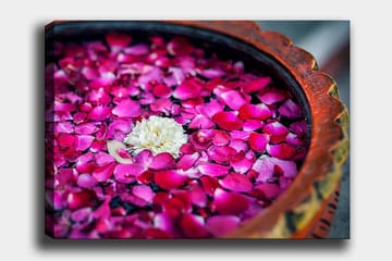 Lerretsbilde 70x100 cm - Skål med rosa roseblader og en hvit blomst som flyter på overflaten - Rosa / Hvit - Interiør - Maleri & posters - Lerretsbilder