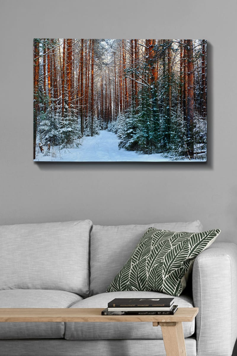 Lerretsbilde 70x100 cm - Snødekt skogssti omgitt av høye, rødbrune furutrær - Rødbrun / Hvit / Grønn - Interiør - Maleri & posters - Lerretsbilder