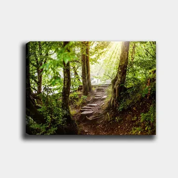 Lerretsbilde 70x100 cm - Solbelyst sti omgitt av grøntområder i et skogsmiljø - Grønn / Brun - Interiør - Maleri & posters - Lerretsbilder
