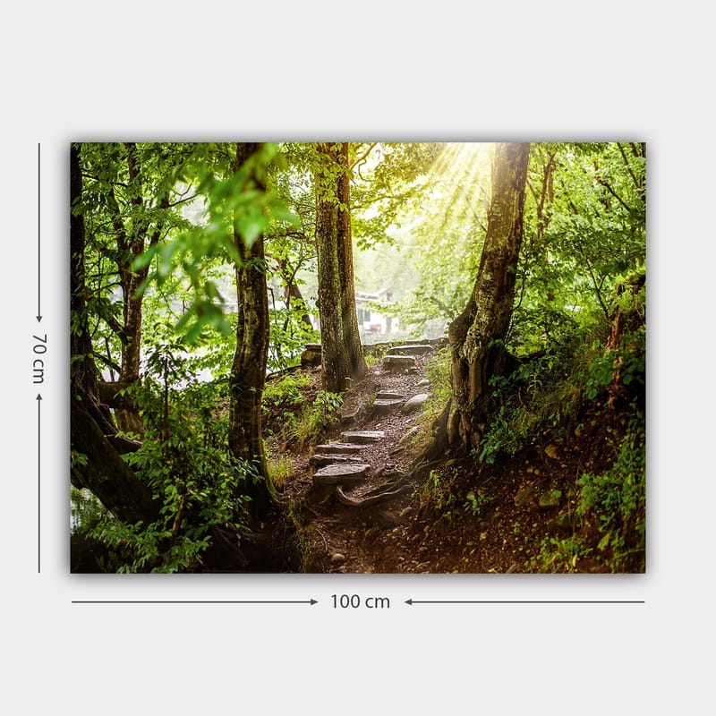 Lerretsbilde 70x100 cm - Solbelyst sti omgitt av grøntområder i et skogsmiljø - Grønn / Brun - Interiør - Maleri & posters - Lerretsbilder