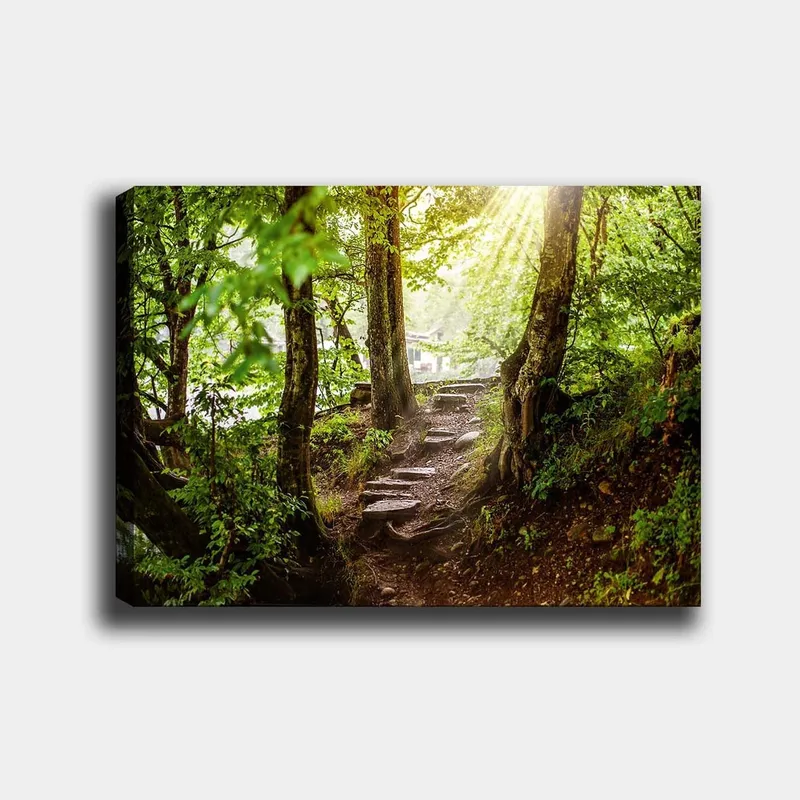 Lerretsbilde 70x100 cm - Solbelyst sti omgitt av grøntområder i et skogsmiljø, Grønn / Brun