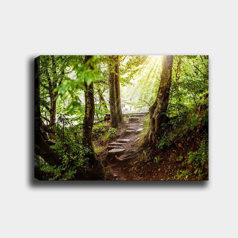 Lerretsbilde 70x100 cm - Solbelyst sti omgitt av grøntområder i et skogsmiljø, Grønn / Brun