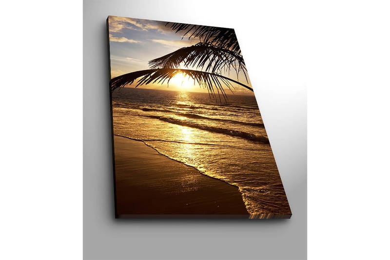 Lerretsbilde 70x100 cm - Solnedgang over havet med palmer i forgrunnen - Gull / Oransje / Brun - Interiør - Maleri & posters - Lerretsbilder