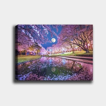 Lerretsbilde 70x100 cm - Stemningsfullt landskap med kirsebærtrær i blomst og en fullmåne speilet i en rolig innsjø - Rosa / Blå / Grønn - Interiør - Maleri & posters - Lerretsbilder