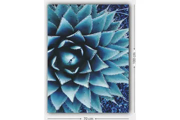 Lerretsbilde 70x100 cm - Stilisert bilde av en agaveplante med fokus på dens symmetriske bladstruktur - Blå / Grønn - Interiør - Maleri & posters - Lerretsbilder
