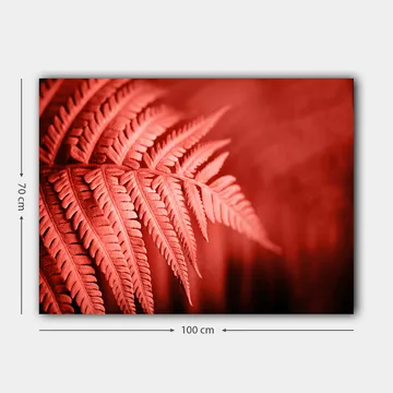 Lerretsbilde 70x100 cm - Stilisert bilde av en rødlig bregne som fremhever detaljene - Rød / Svart - Interiør - Maleri & posters - Lerretsbilder