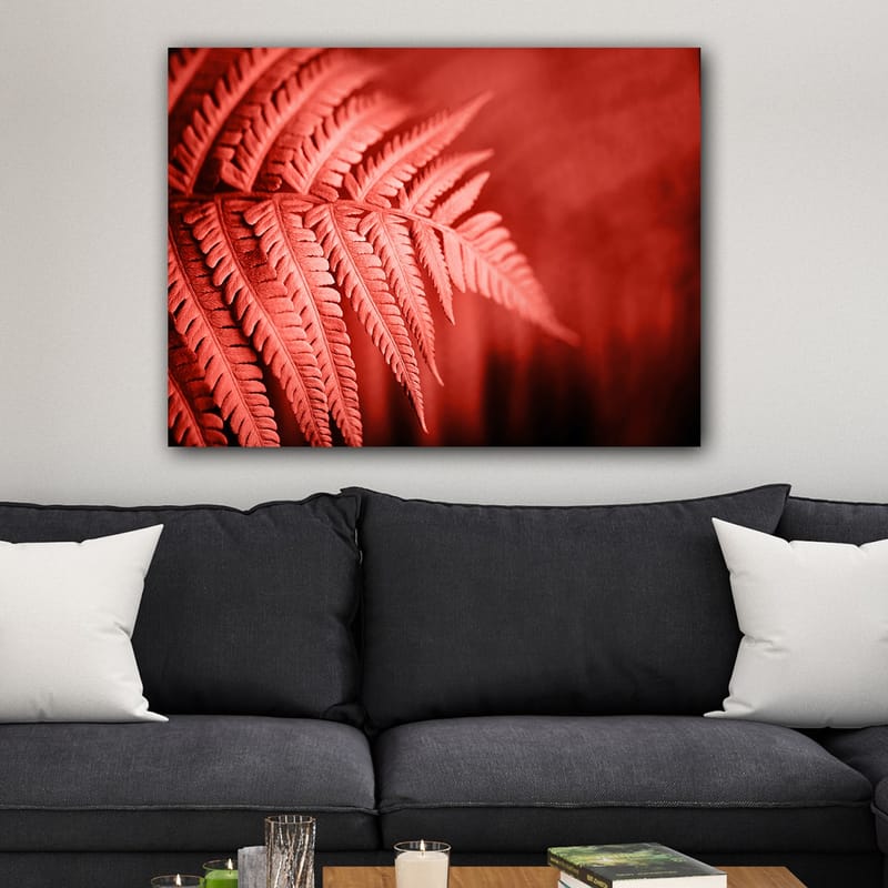 Lerretsbilde 70x100 cm - Stilisert bilde av en rødlig bregne som fremhever detaljene - Rød / Svart - Interiør - Maleri & posters - Lerretsbilder