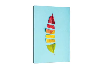Lerretsbilde 70x100 cm - Stilisert fjær laget av fargerike høstblader - Rød / Gul / Grønn - Interiør - Maleri & posters - Lerretsbilder