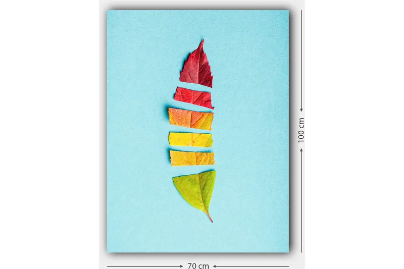 Lerretsbilde 70x100 cm - Stilisert fjær laget av fargerike høstblader - Rød / Gul / Grønn - Interiør - Maleri & posters - Lerretsbilder
