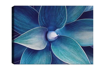Lerretsbilde 70x100 cm - Stilisert nærbilde av en plante med store, bølgete blader - Blå / Turkis - Interiør - Maleri & posters - Lerretsbilder